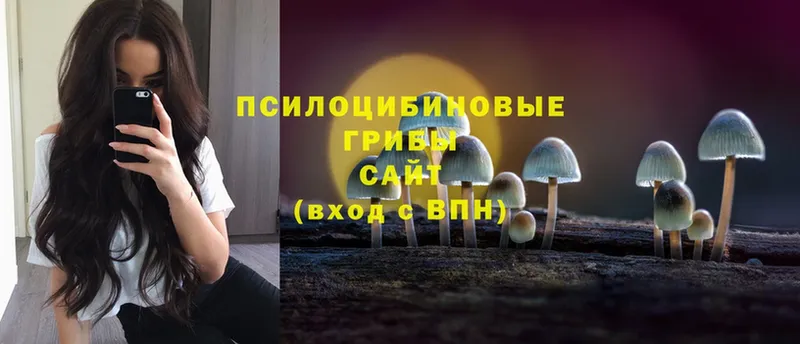 Псилоцибиновые грибы Cubensis  Копейск 